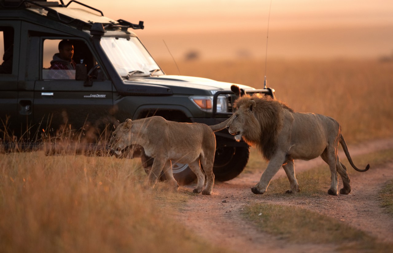 Safari Packages